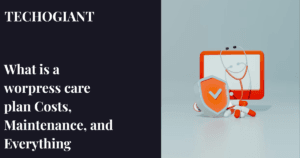what is a wordpress care plan img
